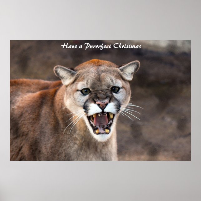 Póster Tener Navidades perfectos (Frente)