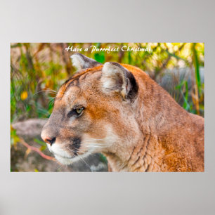 Póster Tener Navidades perfectos