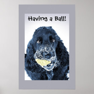 Póster ¡Tener una bola!