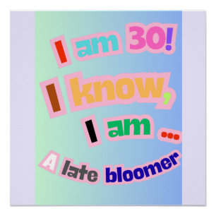 Póster Tengo 30 años, lo sé, soy un bloguero tardío