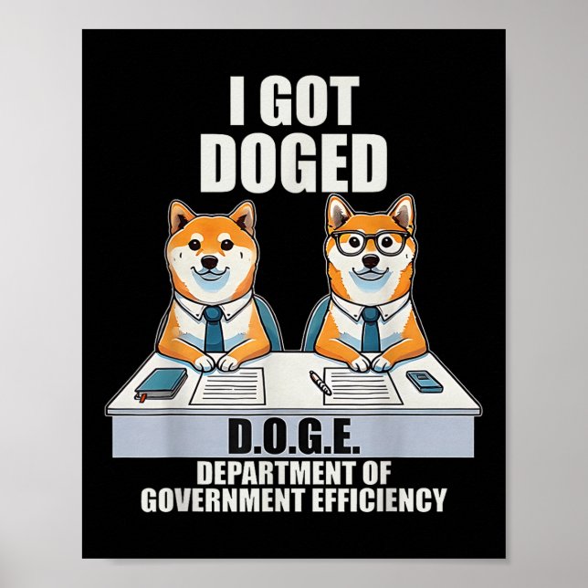 Póster Tengo Doged D.o.e. Departamento De Gobierno (Frente)