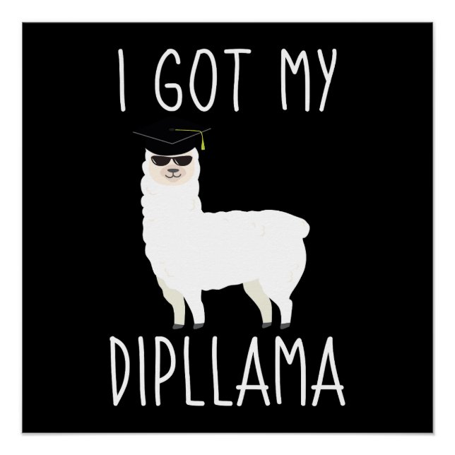 Póster Tengo Mi Dipllama (Anverso)