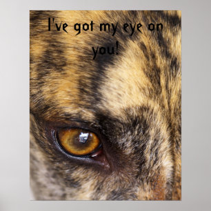 Póster ¡Tengo mi ojo en ti!