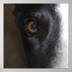 Póster Tengo mi ojo en usted - poster