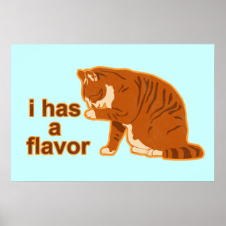 Póster Tengo un sabor, Lol Cat Poster