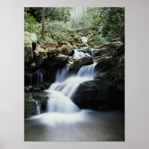 Póster Tennessee, Parque Nacional de las Grandes Montañas
