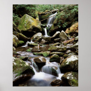 Póster Tennessee, Parque Nacional de las Grandes Montañas