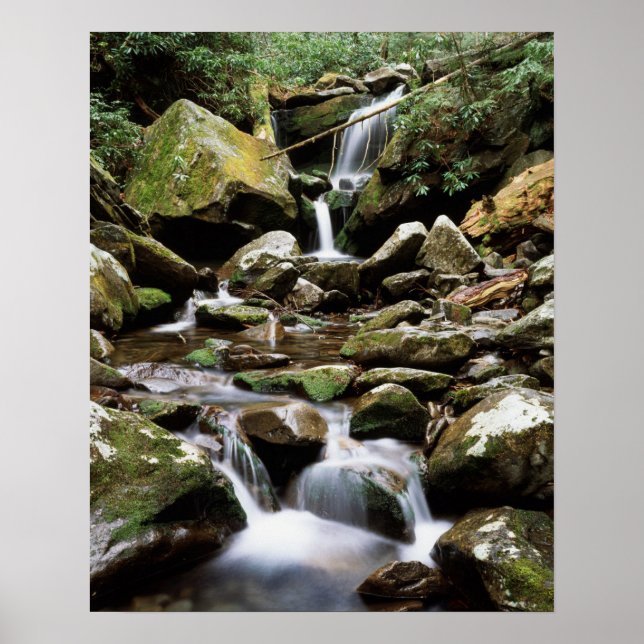 Póster Tennessee, Parque Nacional de las Grandes Montañas (Frente)