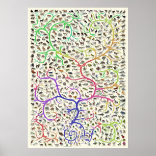 Póster Teoría darwiniana del árbol de la vida Poster de l