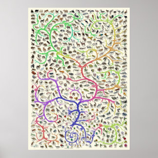 Póster Teoría darwiniana del árbol de la vida Poster de l