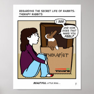 PÓSTER TERAPIA DE RABBIT