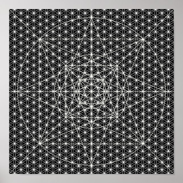 Póster Tercera Dimensión/Flor De La Geometría Sagrada De  (Frente)
