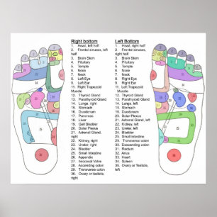 Póster Termine el diagrama del Acupressure del pie