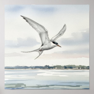 Póster Tern Flying Over the Bay