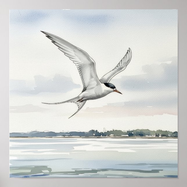 Póster Tern Flying Over the Bay (Frente)