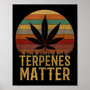 Póster Terpenos