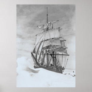 Póster Terra Nova