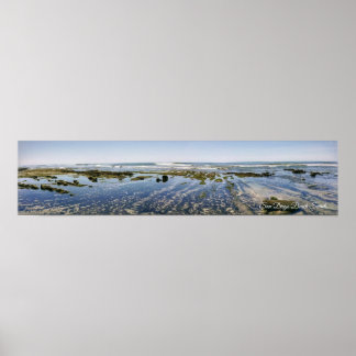 Póster Terramar Beach-Carlsbad