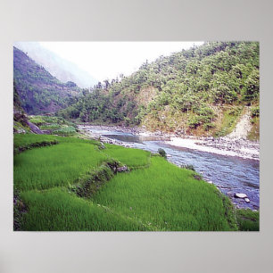 Póster Terraza de arroz del río Katmandú