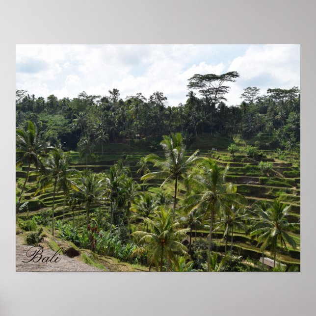 Póster Terraza de campo Ubud Rice de Bali (Frente)
