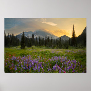Póster Terreno de caza de Indian Henry al amanecer