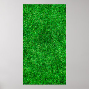 Póster Terreno de jardín de césped de hierba