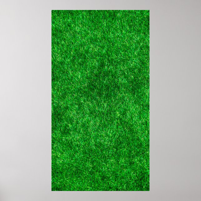 Póster Terreno de jardín de césped de hierba (Frente)