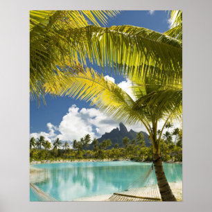 Póster Terrenos y paisajes del nuevo lujo St. Regis