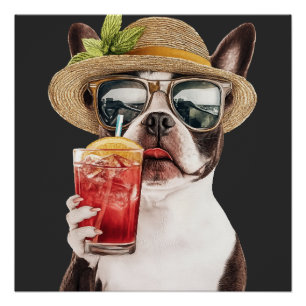Póster Terrier de Boston