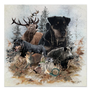 Póster Terrier de caza alemán (Jagdterrier)