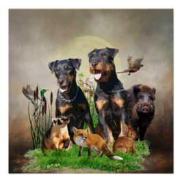 Póster Terrier de caza alemán (Jagdterrier)