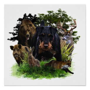 Póster Terrier de caza alemán (Jagdterrier)