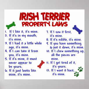 PÓSTER TERRIER DE IRLANDA PL2