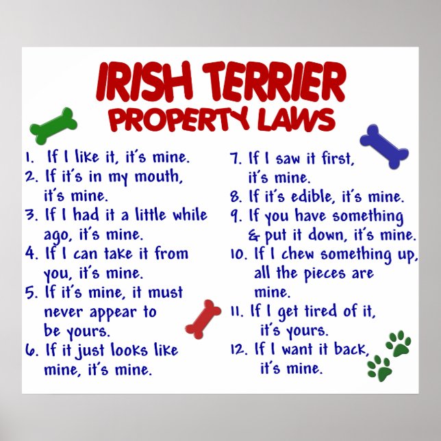 PÓSTER TERRIER DE IRLANDA PL2 (Frente)