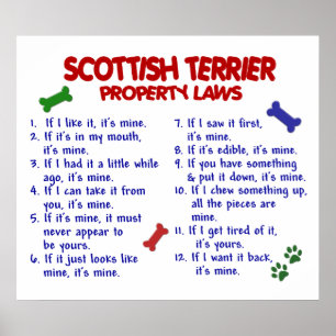 PÓSTER TERRIER DE SCOTTISH PL2