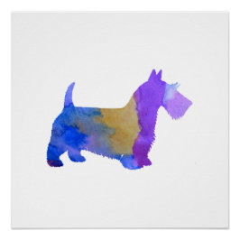 Póster Terrier escocés
