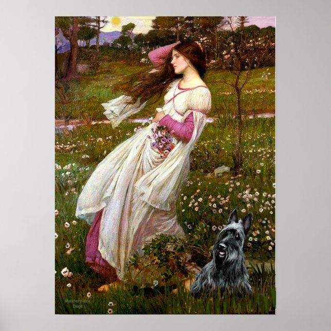 Póster Terrier Escocés 3 - Flores de viento (Frente)