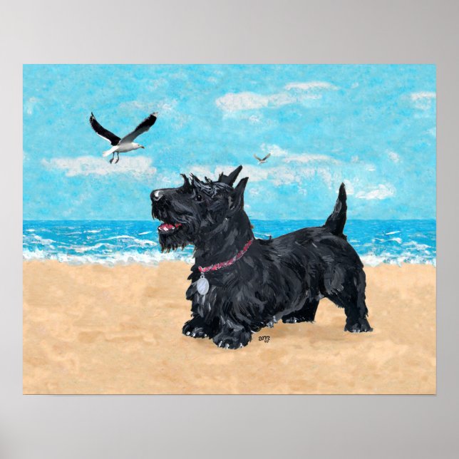 Póster Terrier escocés en la playa (Frente)