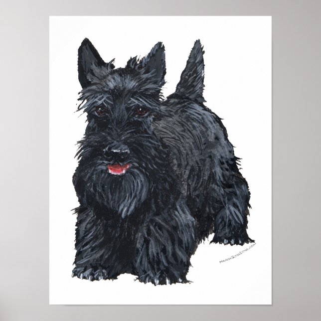 Póster Terrier escocés juguetón (Frente)