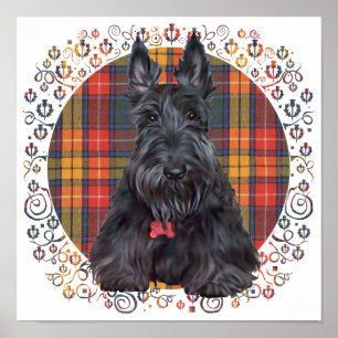 Póster Terrier escocés sobre tartán