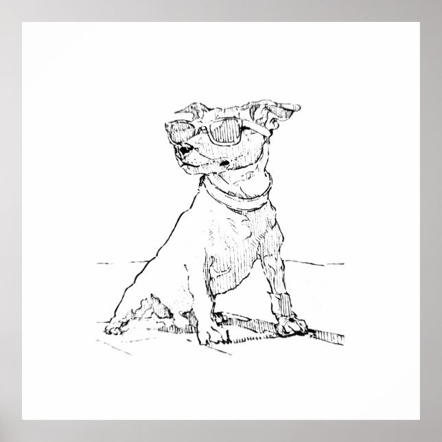 Póster Terrier Jack Russell  (Frente)
