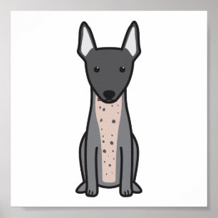 Póster Terrier sin pelo americano