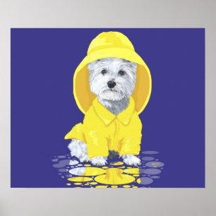 Póster Terrier West Highland Blanco Lluvias de Abril