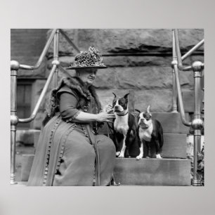 Póster Terrieres de Boston, los años 20