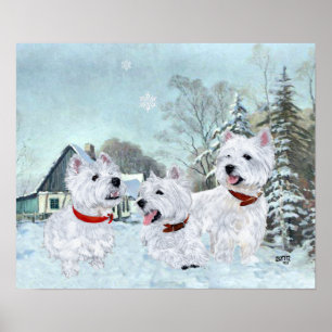 Póster Terriers Blancos de West Highland en la Nieve