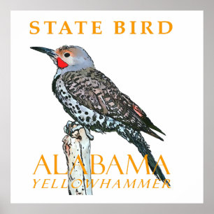 Póster Territorio de Alabama Ave El Carpintero Común
