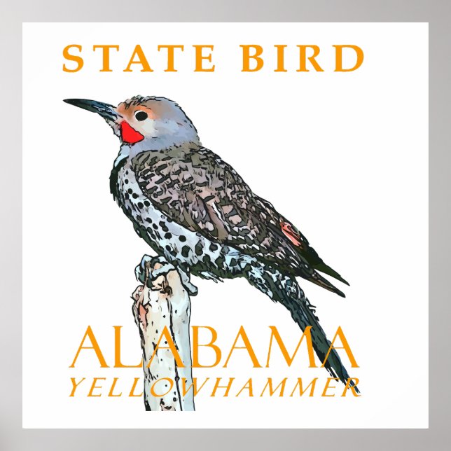 Póster Territorio de Alabama Ave El Carpintero Común (Frente)