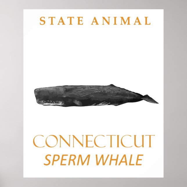Póster Territorio de Connecticut Animal Physeter macrocep (Frente)