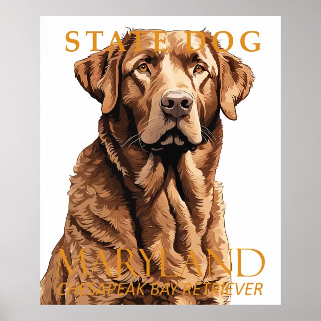 Póster Territorio De Maryland Perro El Recuperador 2 (Frente)