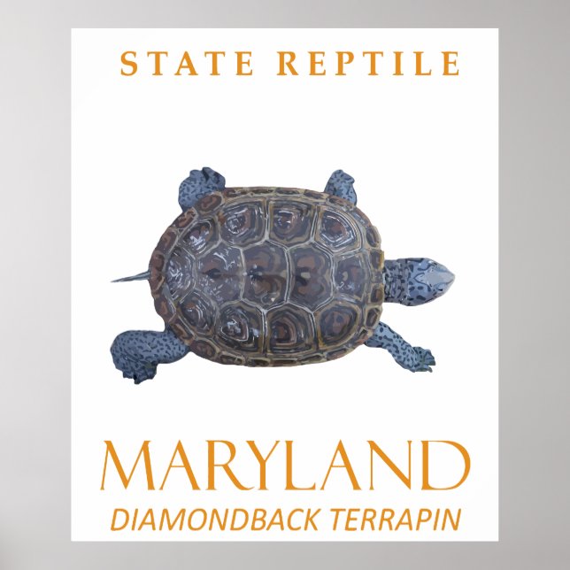 Póster Territorio De Maryland Reptile La Tortuga De Agua  (Frente)